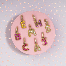 Load image into Gallery viewer, Family Alphabet - Large Initial