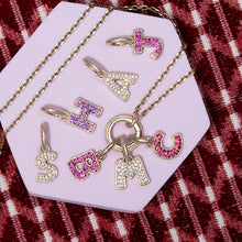 Load image into Gallery viewer, Family Alphabet - Large Initial