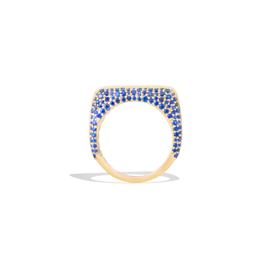 Found Rib Curve Stacking Band Ring - Blue Sapphire & Amethyst