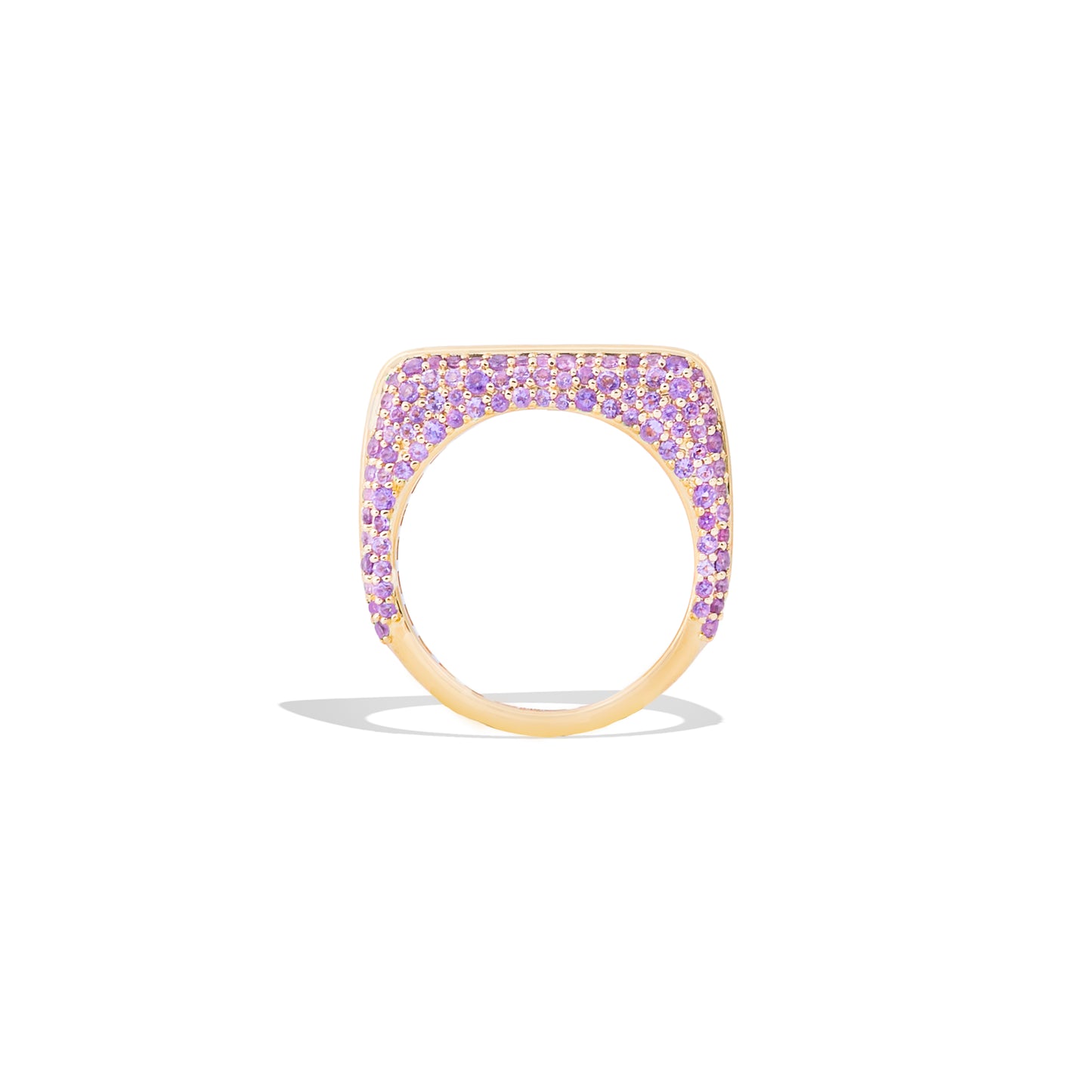 Found Rib Curve Stacking Band Ring - Blue Sapphire & Amethyst