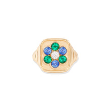 Load image into Gallery viewer, Family Blooms Ring
