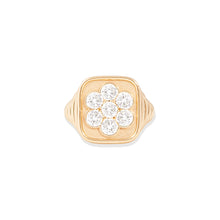 Load image into Gallery viewer, Family Blooms Ring

