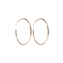 Load image into Gallery viewer, Evolve Hoop Charm Earrings - Diamond
